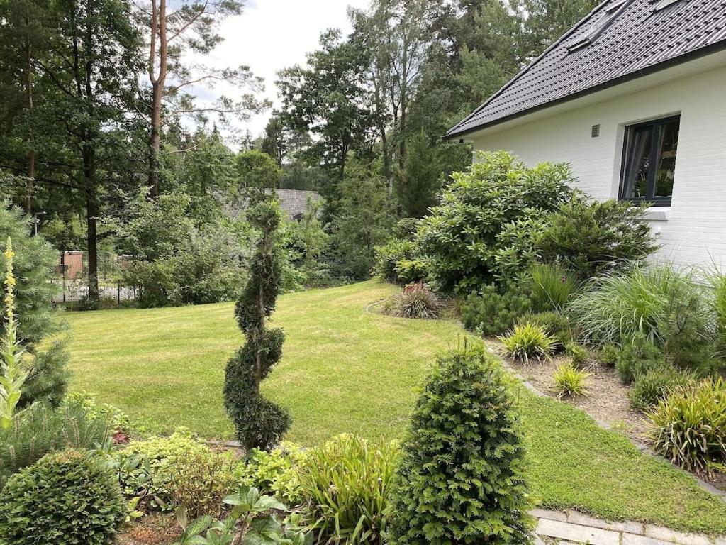 Ferienhaus Bendestorf, Waldweg 38,Naehe Hamburg Dış mekan fotoğraf